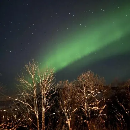 Koselig I Sentrum 5 Soveplasser Gratis Parkering Og Gratis Internet Apartment Narvik