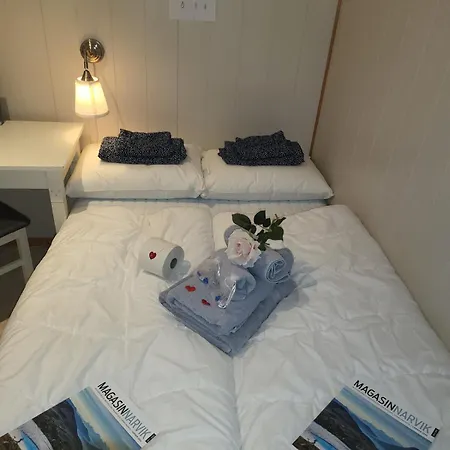 Koselig I Sentrum 5 Soveplasser Gratis Parkering Og Gratis Internet Apartment *