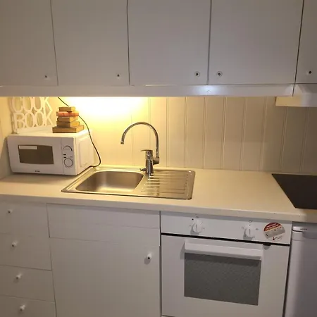 Apartment Koselig I Sentrum 5 Soveplasser Gratis Parkering Og Gratis Internet *